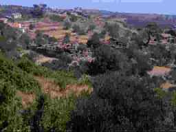 landschap N-